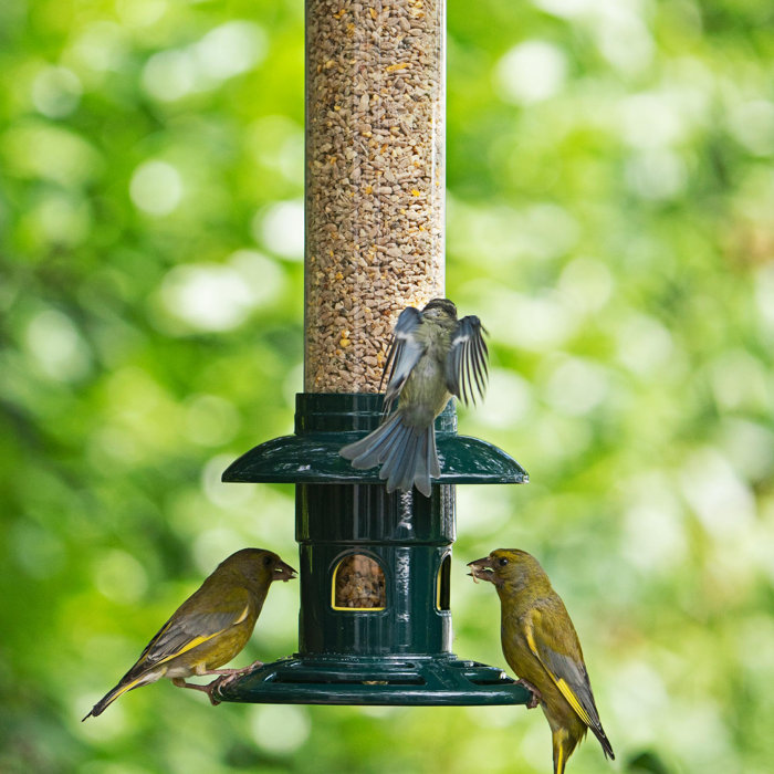 Jacobi Jayne Squirrel Buster Evolution Squirrelproof Bird Feeder